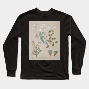 Forget-me-not, by Sarah Featon Long Sleeve T-Shirt